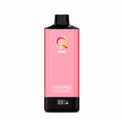 Q5 PRIME 12000 Клубника лимон мята 2%