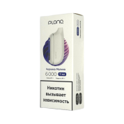 PLONQ MAX 6000 Черника малина 2%