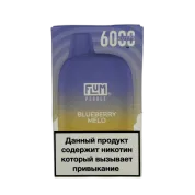 FLUM Pebble 6000 Черника дыня 2%