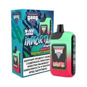 GANG IMMORTAL 16000 Малиново яблочный мохито 2%