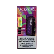 VOZOL GEAR POWER 20000 Чай со смешанными ягодами 2%