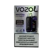 VOZOL VISTA 20000 Виноград со льдом 2%