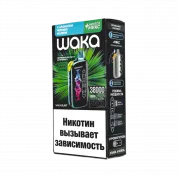 WAKA FT 38000 HARD Черника малина + ментол микс 2%
