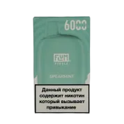 FLUM Pebble 6000 Острая мята 2%