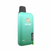 Q5 PRO PLUS 10000 Мята 2%