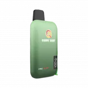 Q5 PRO PLUS 10000 Сладкая мята 2%