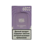 FLUM Pebble 6000 Черника мята 2%