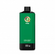 Q5 PRIME 12000 Холодная мята 2%