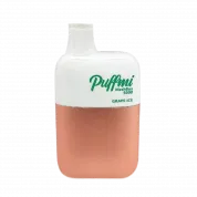 PUFFMI MeshBox 5000 Ледяной виноград 2%