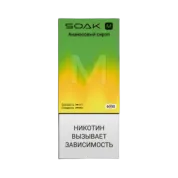 SOAK M NEW 6000 Ананасовый сироп 2%
