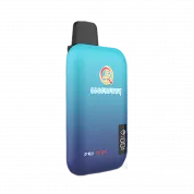 Q5 PRO PLUS 10000 Черника 2%