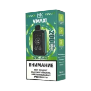 MASKKING VIMAXI 20000 Мята дыня 2%