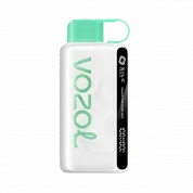 VOZOL STAR 9000 Холодная мята 2%