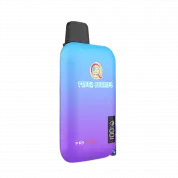 Q5 PRO PLUS 10000 Черника малина виноград 2%
