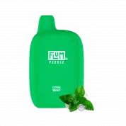 FLUM 6000 Прохладная мята 2%