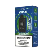 MASKKING VIMAXI 20000 Черника мята 2%
