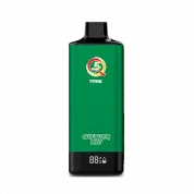 Q5 PRIME 12000 Черника мята 2%